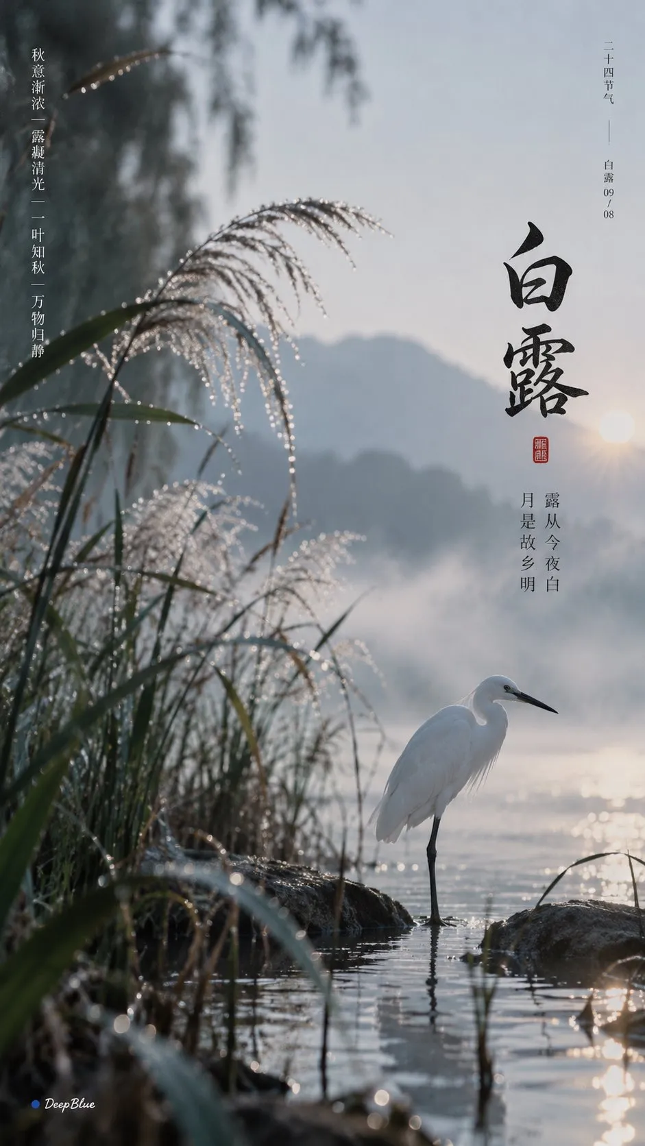 白露の表紙に、霧の水辺の葦と白鷺を描く。